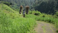 Farmer on Campuhan Ridge Walk